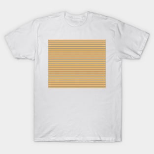 Southwestern Stripes - Sand T-Shirt